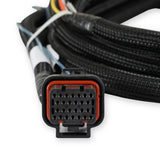 Holley 558-469 2018-2022 Ford DBW Harness