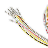 Holley 558-401 Dominator EFI Auxiliary Harness