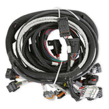 Holley EFI Gen III Hemi Main Harness Early w/ TPS and Idle Air Control Connections - 558-115