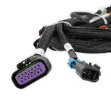Holley 558-125 EFI Ford Coyote Ti-VCT Sub Harness (2013-2017)