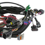 Holley 558-117 Universal MPFI Coil On Plug Main Harness