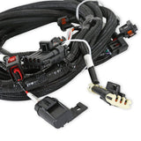 Holley 558-125 EFI Ford Coyote Ti-VCT Sub Harness (2013-2017)