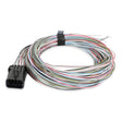 Holley 558-400 Connector J1A/B Input/Outputs Auxiliary Harness