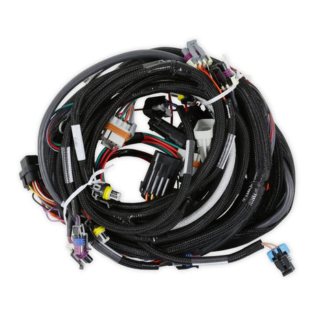 Holley 558-102 LS1/6 (24x/1x) Engine Main Harness