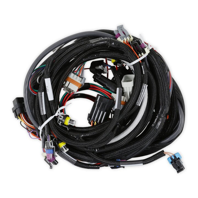 Holley 558-102 LS1/6 (24x/1x) Engine Main Harness