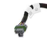 Holley 558-201 LSx Injector Harness - For EV6 Style Injectors