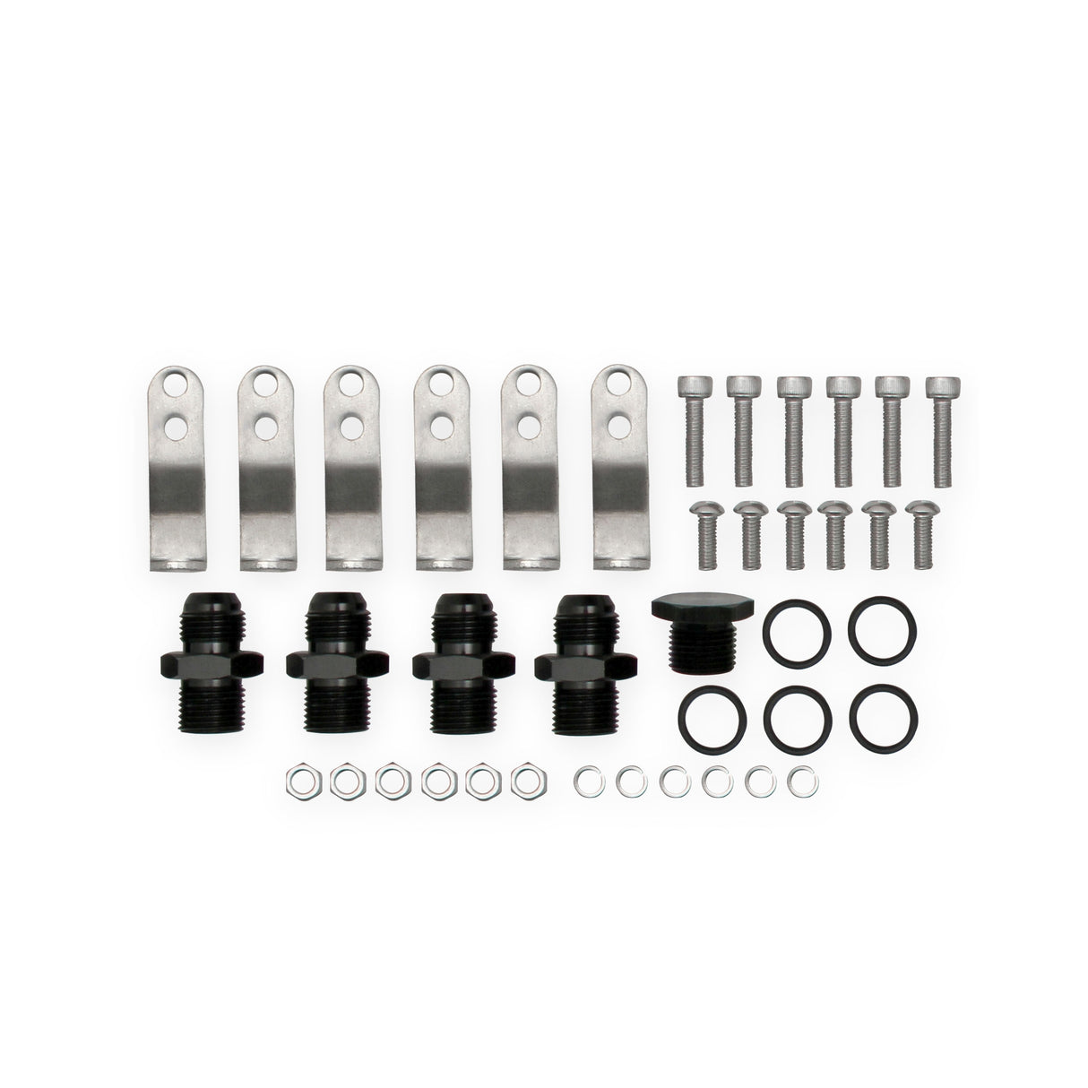 Holley 820241 Sniper EFI Fabricated Intake Manifold Dual Plenum 102mm LS1/2/6, Rail Kit - Slvr