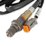 MSD Wide Band O2 For Power Grid - 7765