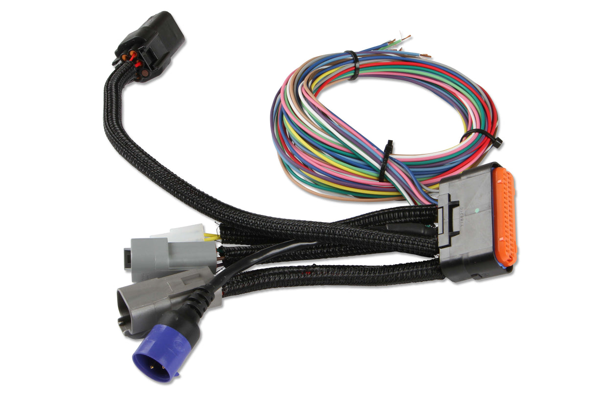 MSD Power Grid System - Controller Only - Black - 77303