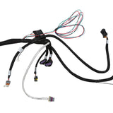 Holley EFI LS 58X 8-Injector TBI Harness - 558-138
