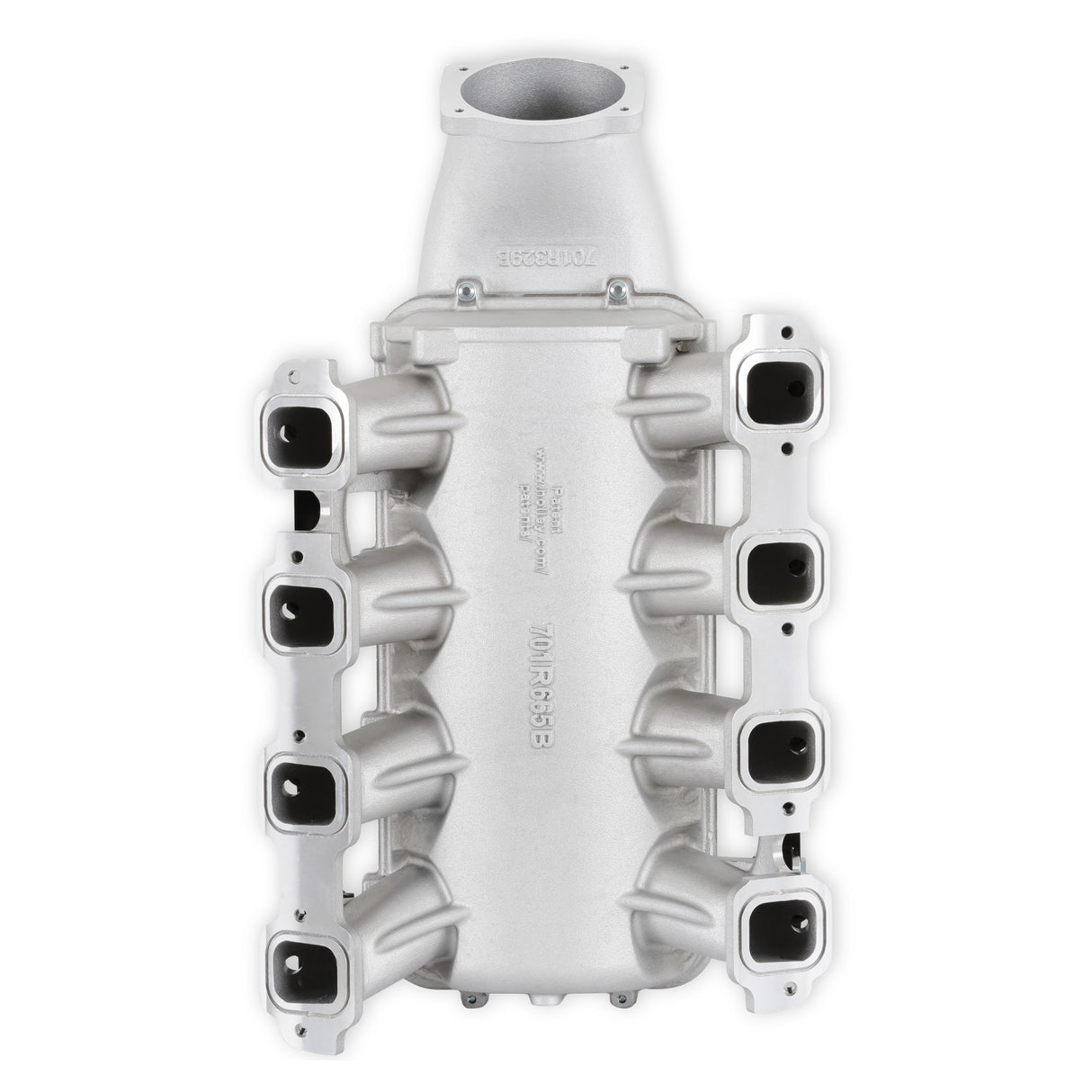 Holley 300-718 Lo-Ram Manifold Kit and Port Injection Fuel Rails - GM Gen V LT