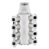 Holley 300-718 Lo-Ram Manifold Kit and Port Injection Fuel Rails - GM Gen V LT