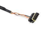 Holley 558-452 CAN Adapter Harness, 4'