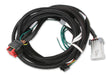 MSD EFI And LS Harness - Pro 600 - 80002