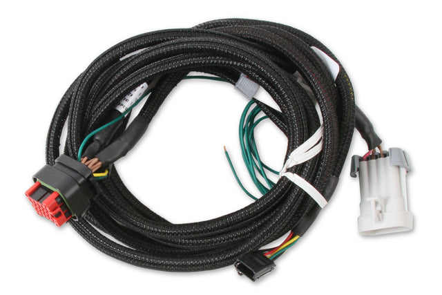 MSD EFI And LS Harness - Pro 600 - 80002