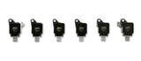 ACCEL Ignition Coil 2017-2020 Ford EcoBoost 3.5L engines, Black, 6-pack - 140647K-6