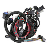 Holley 558-113 Ford Modular 2V and 4V Main Harness for use with Smart Coils