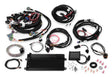 Holley 550-613 Terminator LS MPFI Kit