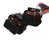 Holley 558-121 Terminator Stealth 2x4 Main Harness
