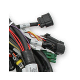 Holley 558-110 EFI Ford Coyote Engine Main Harness w/ Ti-VCT and Stock Coils (2011-2017)