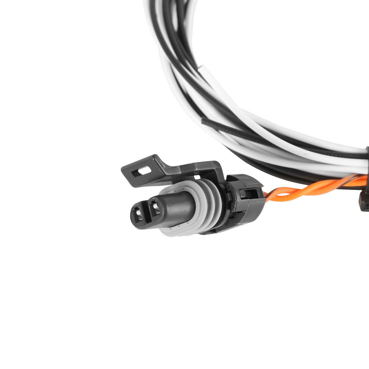 Holley 558-430 CAN Adapter/Power Harness