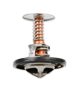 Mr Gasket Thermostat - 160 Degree - 6367