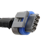 Holley 558-321 LS COIL HARNESSES