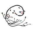 Holley 558-101 TPI/Stealth Ram Main Harness