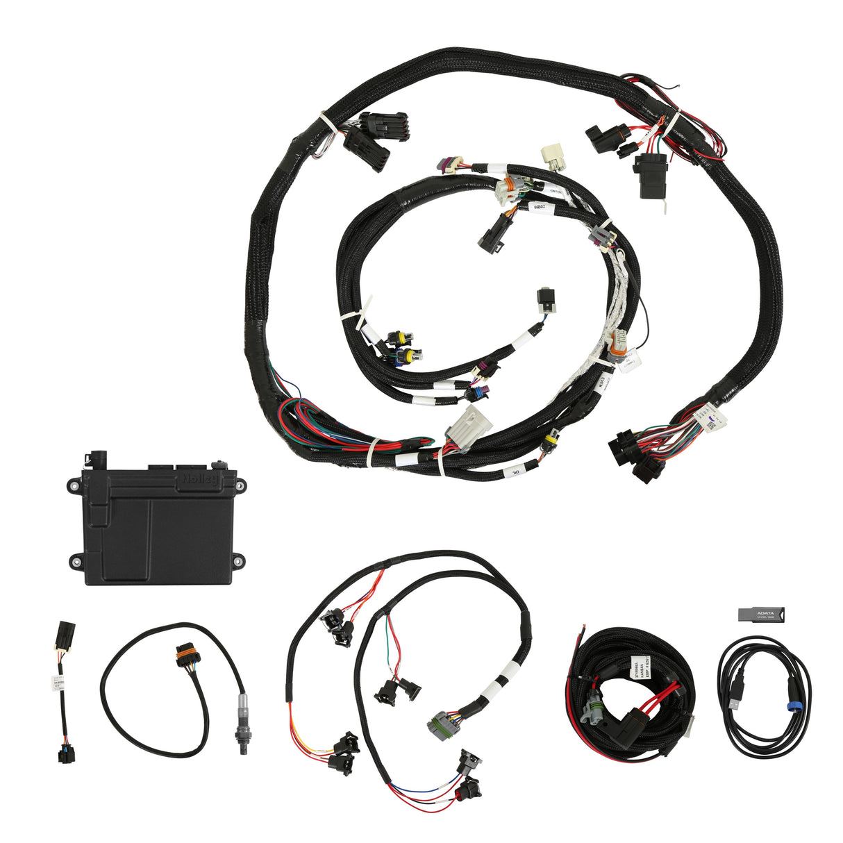 Holley 550-607N HP EFI ECU & Harness Kits