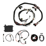 Holley 550-607N HP EFI ECU & Harness Kits