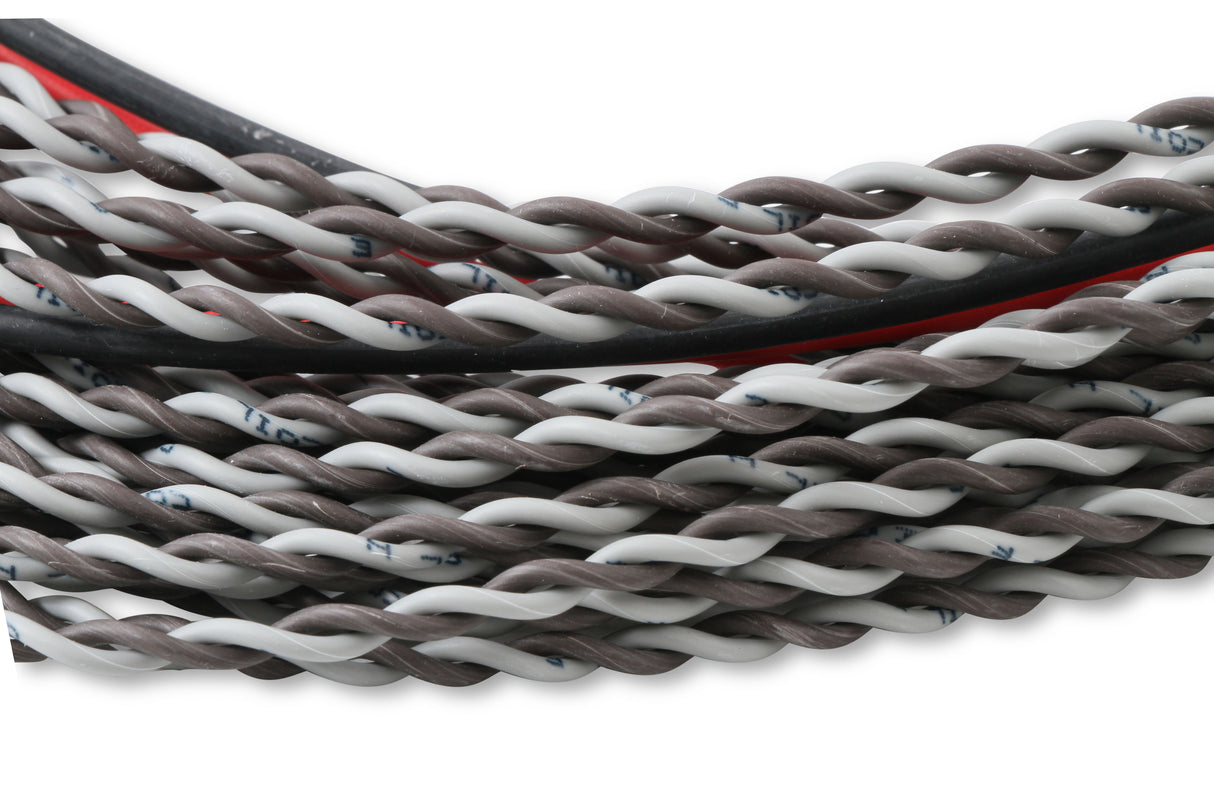 MSD Coil Harness - Pro 600 - 80001