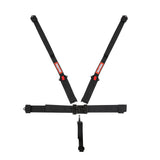 Racequip Latch & Link HANS 5 Point Harness Set - 717007RQP