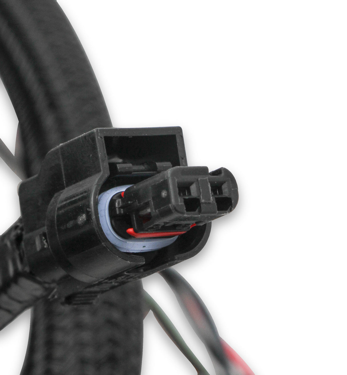 Holley 558-124 EFI Ford Coyote Ti-VCT Sub Harness (2011-2012)