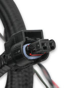 Holley 558-124 EFI Ford Coyote Ti-VCT Sub Harness (2011-2012)