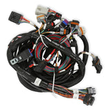 Holley 558-110 EFI Ford Coyote Engine Main Harness w/ Ti-VCT and Stock Coils (2011-2017)
