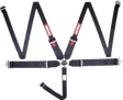 Racequip Camlock 5 Point HANS Harness Set - 745005RQP