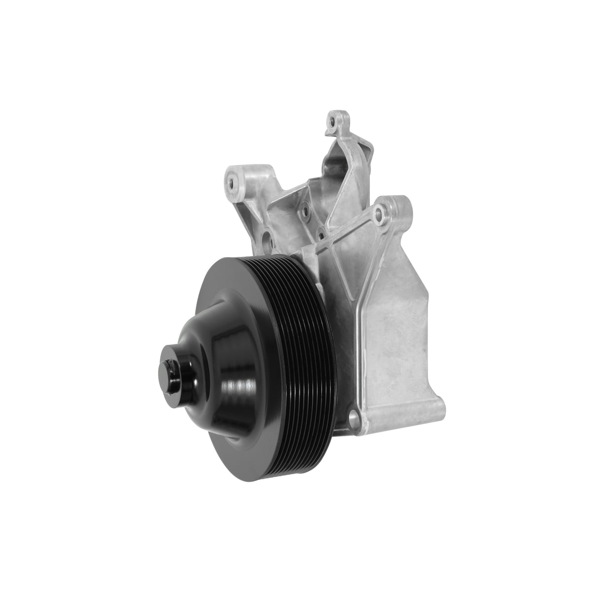 Holley 20-233 Power Steering Add-on System for LT5