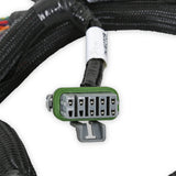Holley 558-221 EFI GM GEN V GDI Sub Harness
