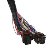 Holley EFI Universal Coil-On-Plug 8-Injector TBI Harness - 558-139