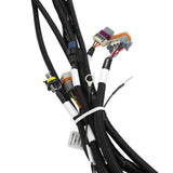 Holley 558-141 Ford 7.3L Godzilla Main Harness for Smart Coils