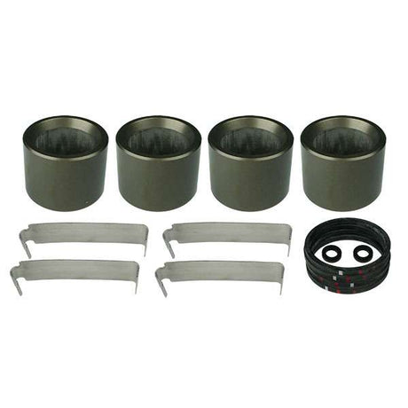 AFCO F22 Complete Rebuild Kit With 1.38" Pistons - 6690263 6690263