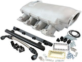 Aeroflow GM LS Cathedral Port Low Rise EFI Modular Intake Manifold, Natural Cast Finish (AF6063-5000)