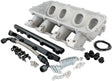 Aeroflow Low Rise EFI GM LS Cathedral Port Intake ManifoldBase, Natural Cast Finish (AF6079-5001)