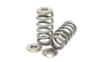 Kelford Cams MK5 A90 Supra Valve Springs - KVS58-BT