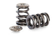 Kelford Cams FA20F Dual Valve Springs - KVS87-DT