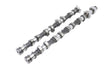 Kelford Cams 262/252 | 2.3L Ecoboost Camshafts - 250-A