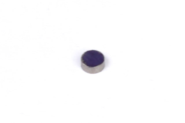 Haltech Rare Earth Magnets (5mm DIA x 2mm H) HT-010602