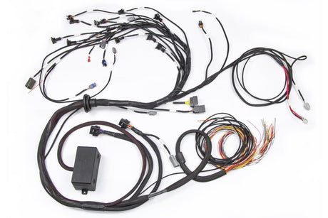 Haltech E2000/2500 RB Terminated Engine Harness Only HT-130326 HT-130326