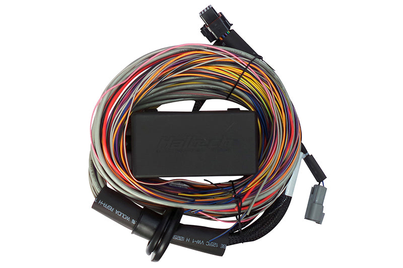 Haltech Elite 550 Premium Universal Wire-in Harness