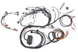 Haltech RB Twin CAM Main Harness, CAS Breakout, Early Ignition HT-141230